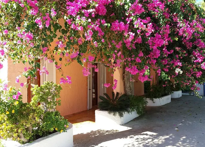 Constantinos * Lassi (Kefalonia)