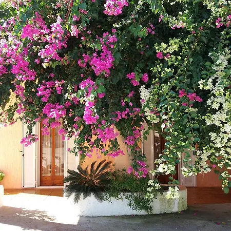 Constantinos * Lassi (Kefalonia)