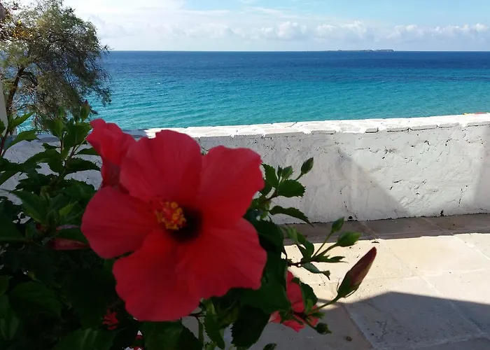 Апартаменты Constantinos