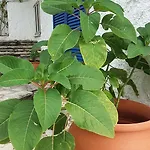 Constantinos Apartment *