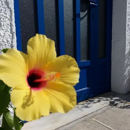 Constantinos דירה לאסי