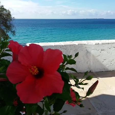 דירה Constantinos