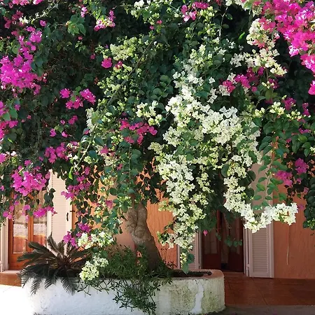 Constantinos דירה *