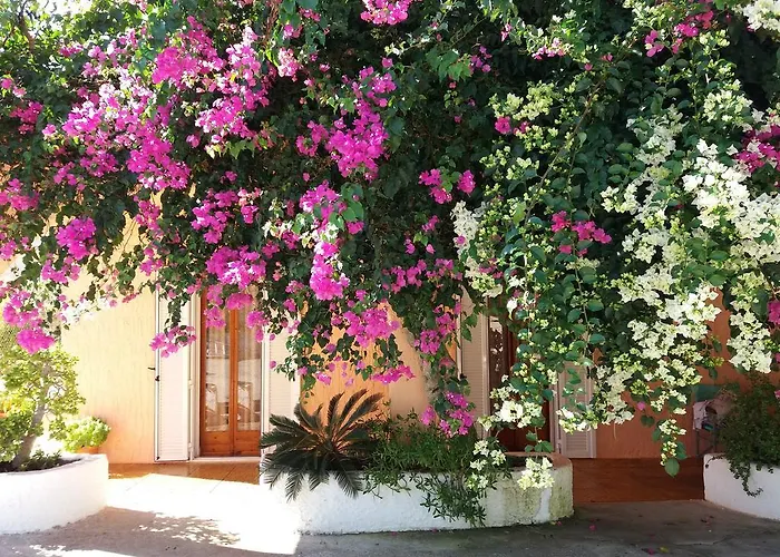 Constantinos * Lassi (Kefalonia)